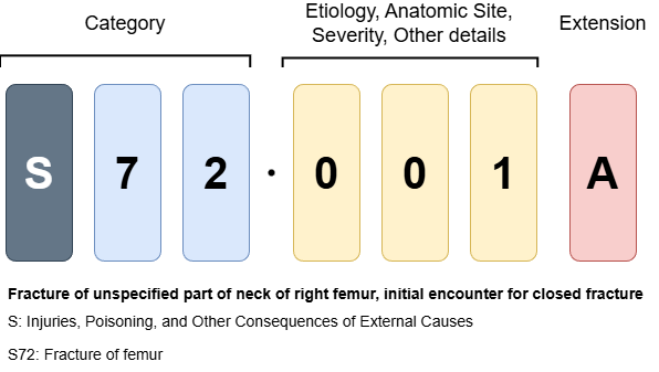 Structure of an ICD-10-CM diagnosis code